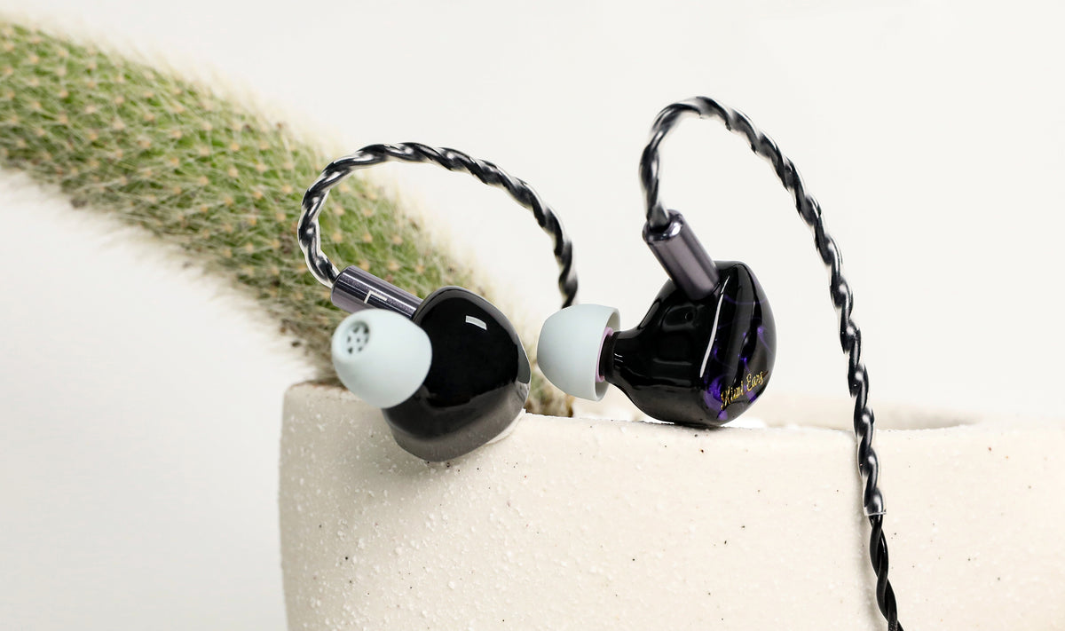 Kiwi Ears Flex Ear Tips fitted on black earphones resting on a white plant pot with a cactus