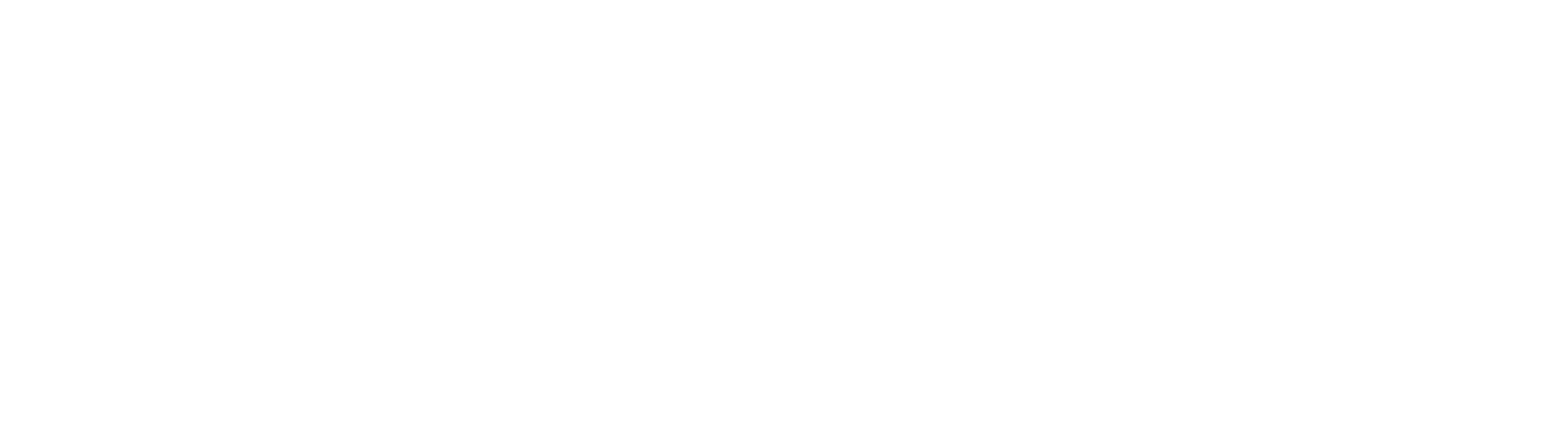 VividSound Logo white
