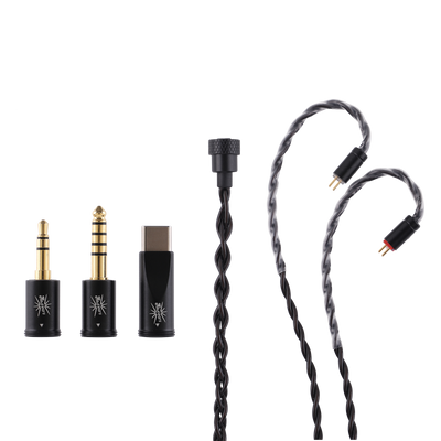 Kiwi Ears x B_Media Terras 3.5 mm, 4.4 mm and USB-C plug modules next to the 2-pin ends and ear hooks
